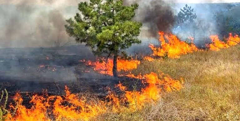 queimadas-risco-ambiental