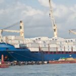 exportação