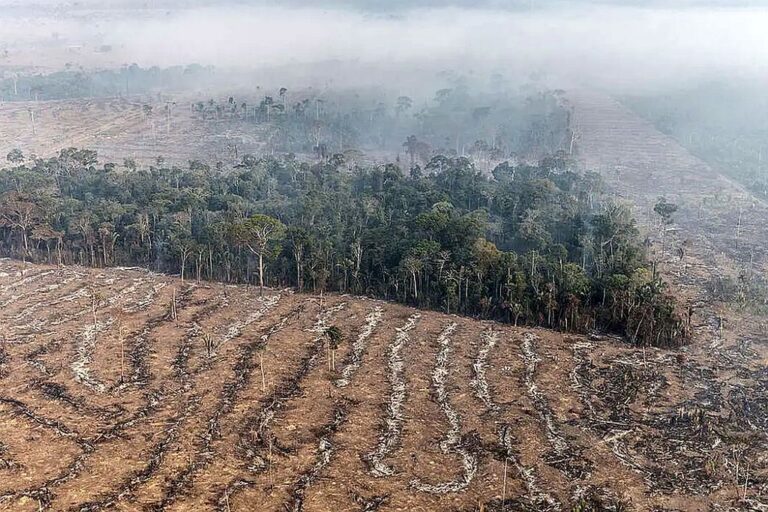 Fundo Amazônia