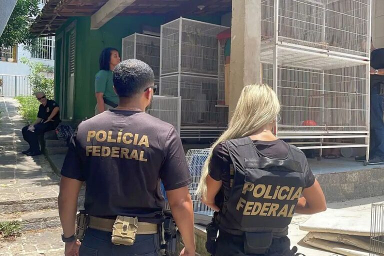 Policial