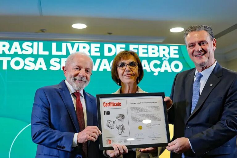 Lula 5