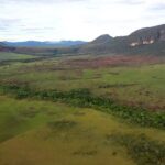 cerrado