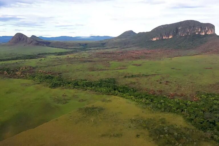 cerrado