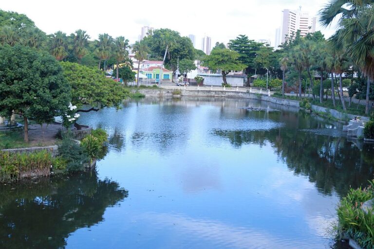 fortaleza 1