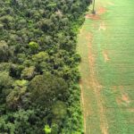 amazônia
