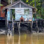 amazônia