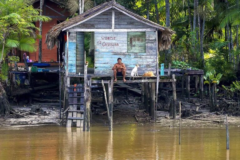 amazônia