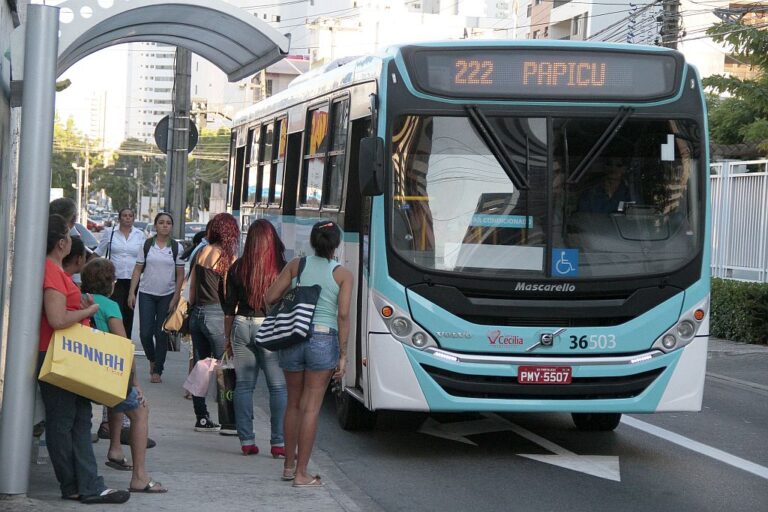 onibus