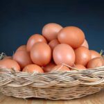 ovos de galinha
