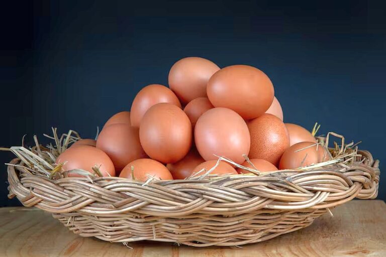 ovos de galinha