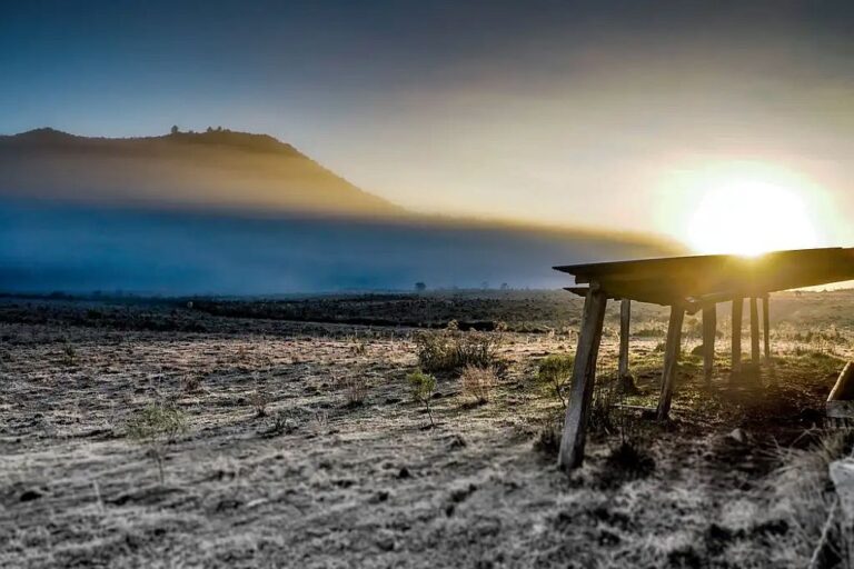 rural