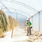 WhatsApp Image 2025-11-07 at 11_51_01