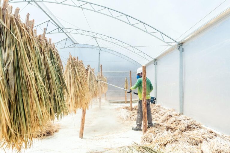 WhatsApp Image 2025-11-07 at 11_51_01