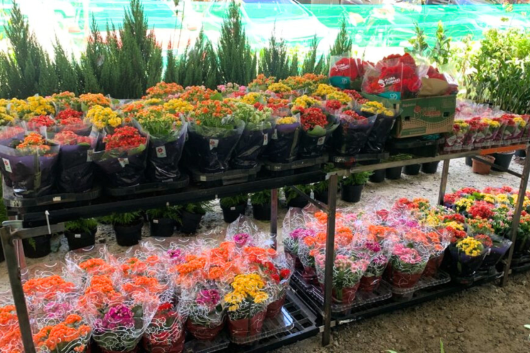 32 (1080 x 720 px)-2