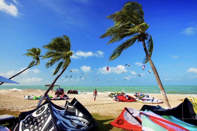 105c9c4a-d92d-4ba8-845b-5fdb5efd973b