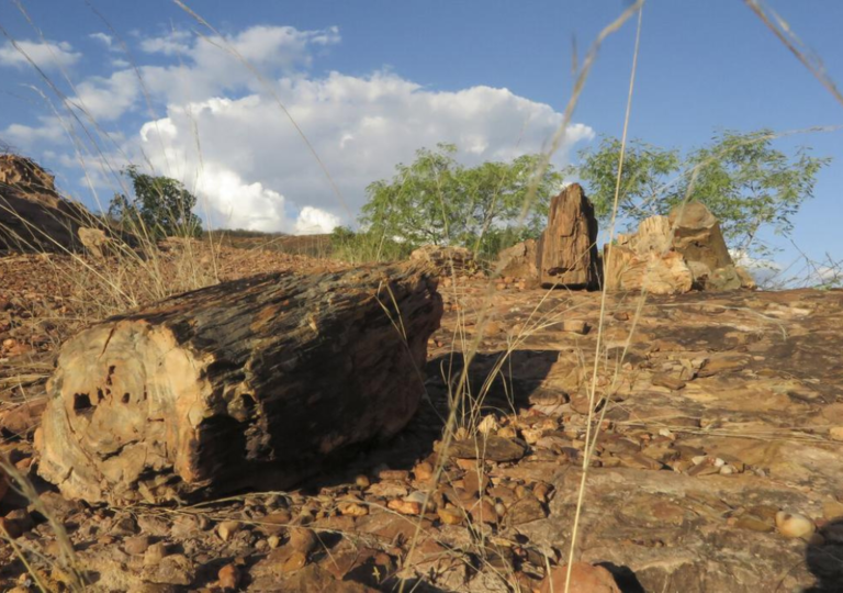 Poder News (1024 x 720 px)