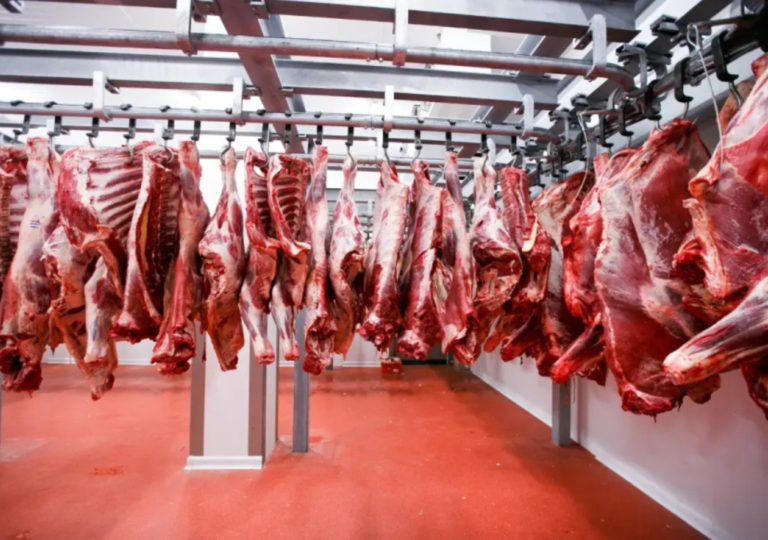 Poder News (1024 x 720 px)-7