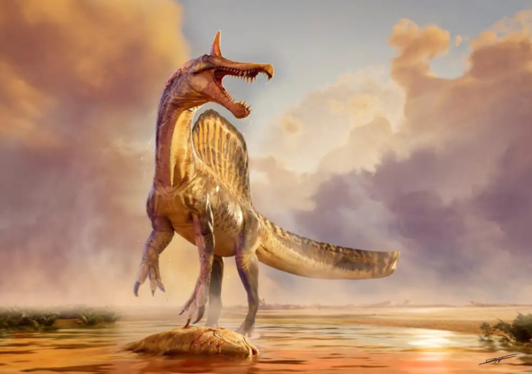 Poder News (1024 x 720 px)-2