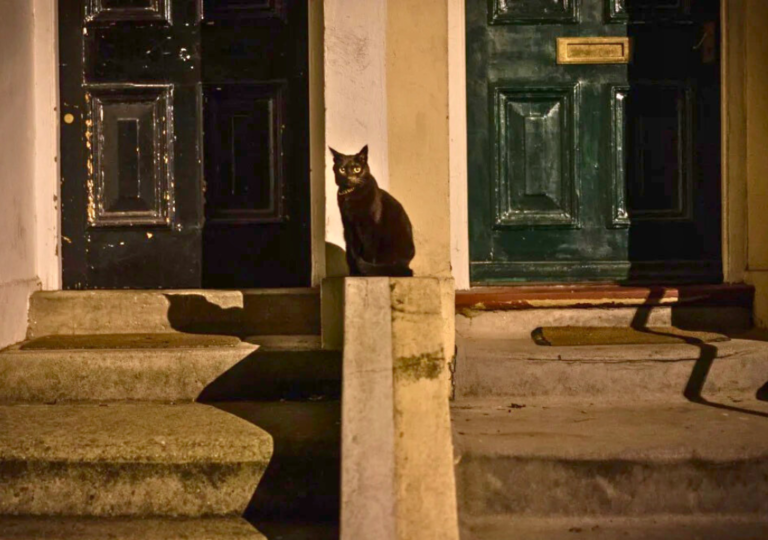 Poder News (1024 x 720 px)-3