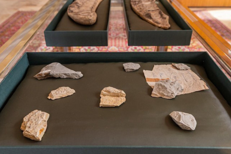 RECORTE PODER NEWS-5