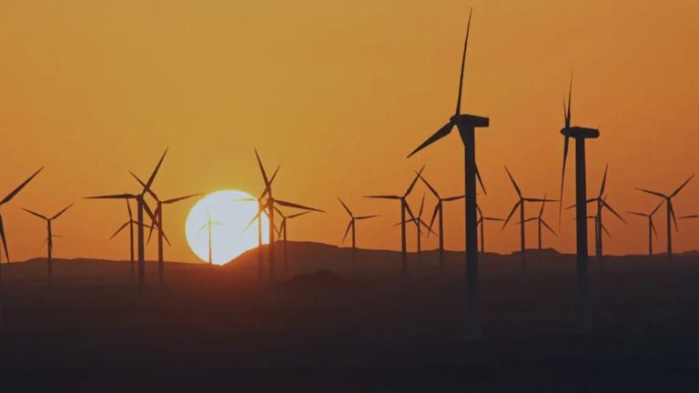 WhatsApp Image 2026-03-11 at 11.42.53