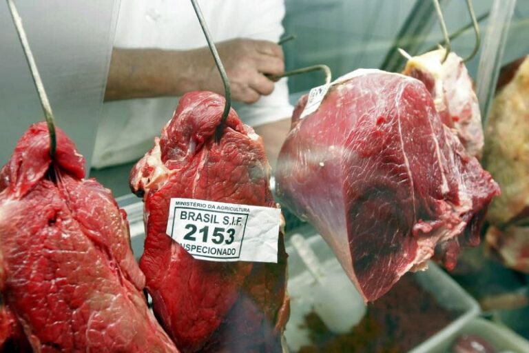 carne-edit