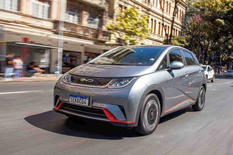 byd-dolphin