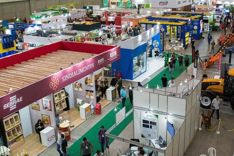 pec-brasil-1