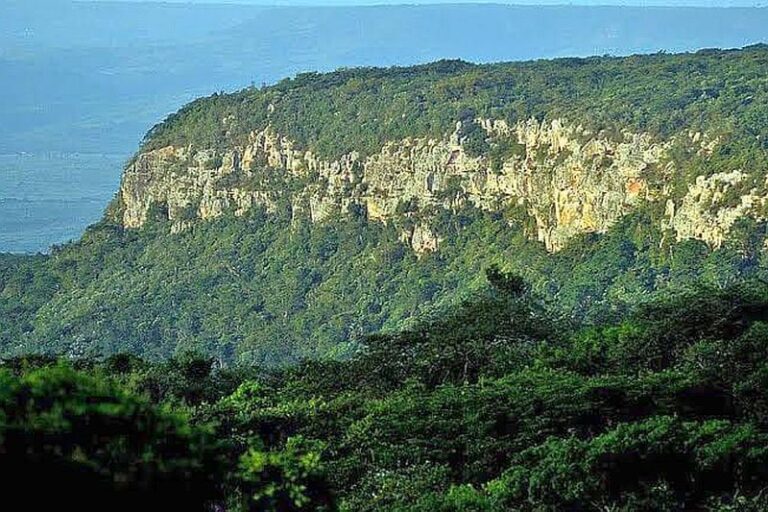 chapada-do-araripe2