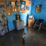 mostra-itinerante