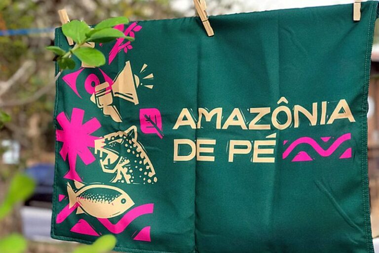 amazônia-de-pé