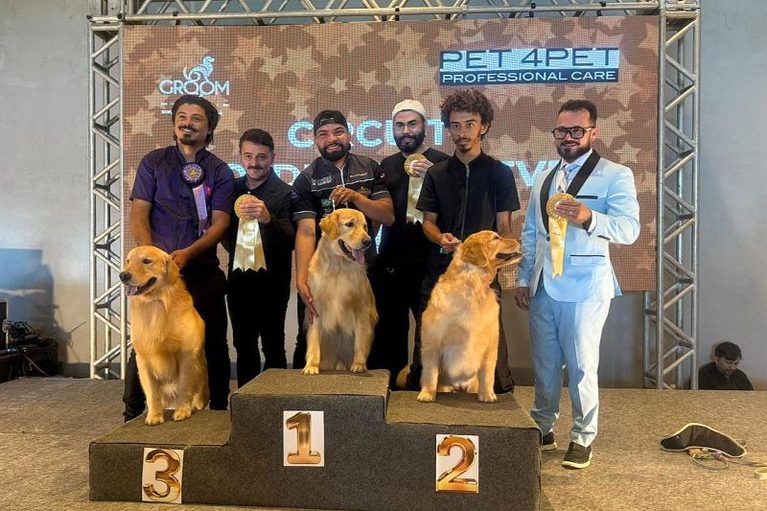 nordeste-groom-show