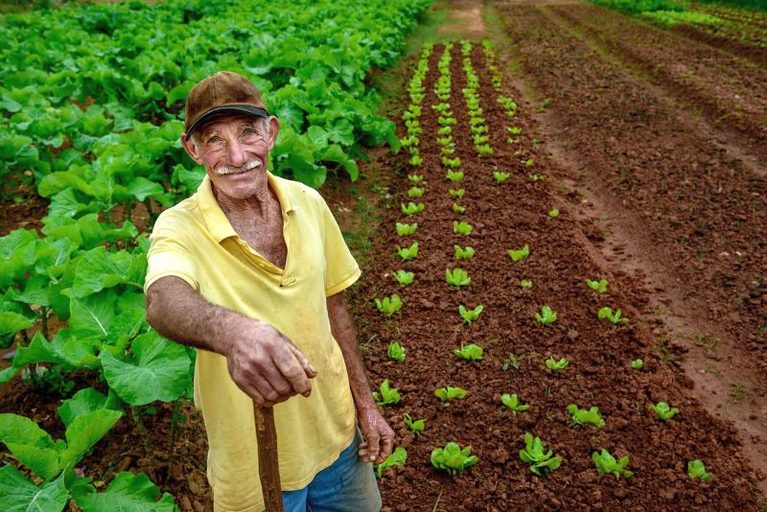 produtor-agrícola