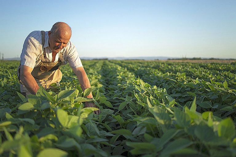 agricultor