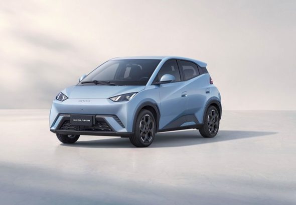 byd-dolphin