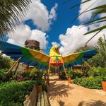 parque-arvorar