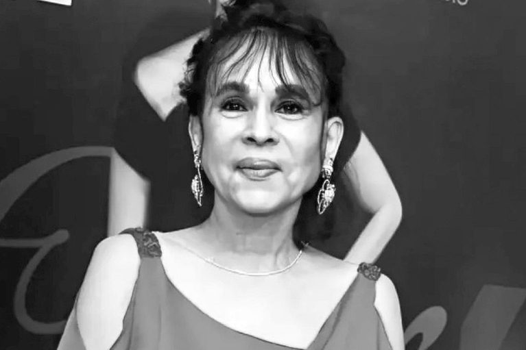 sonia-pinheiro2